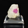 Rubis sur calcite – Mogok, Myanmar