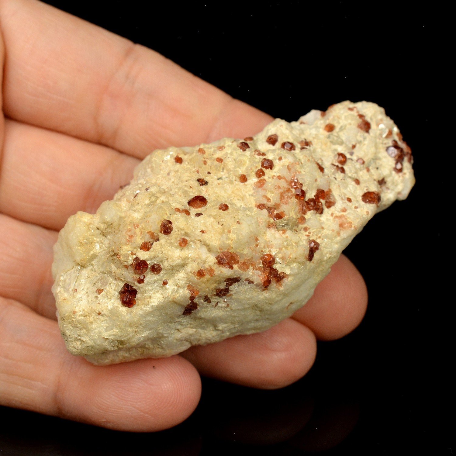 Grenat - Mine Pack Rat, Comté de San Diego, Californie, Etats-Unis