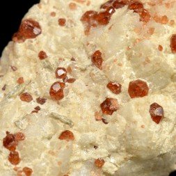 Grenat - Mine Pack Rat, Comté de San Diego, Californie, Etats-Unis