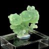 Prehnite et épidote - Diamonkara, Kayes, Mali