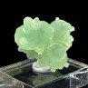 Prehnite et épidote - Diamonkara, Kayes, Mali