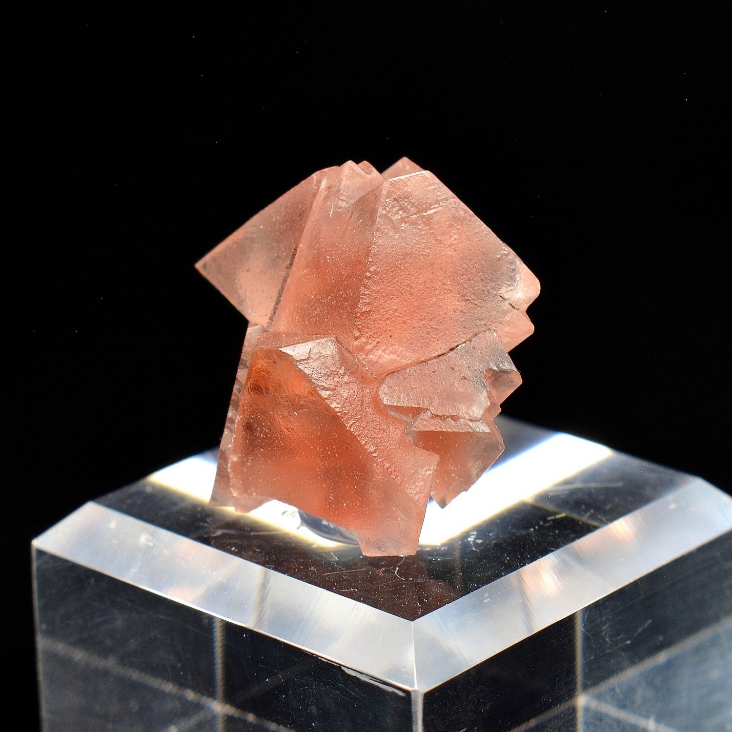 Pink Fluorite - Aiguille du Moine, Haute-Savoie, France