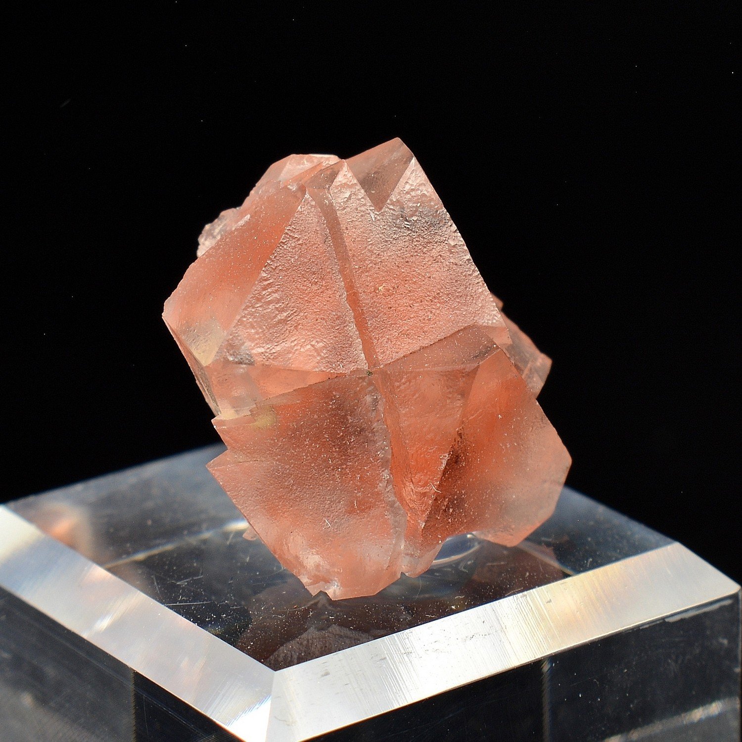 Fluorite rose - Aiguille du Moine, Haute-Savoie, France