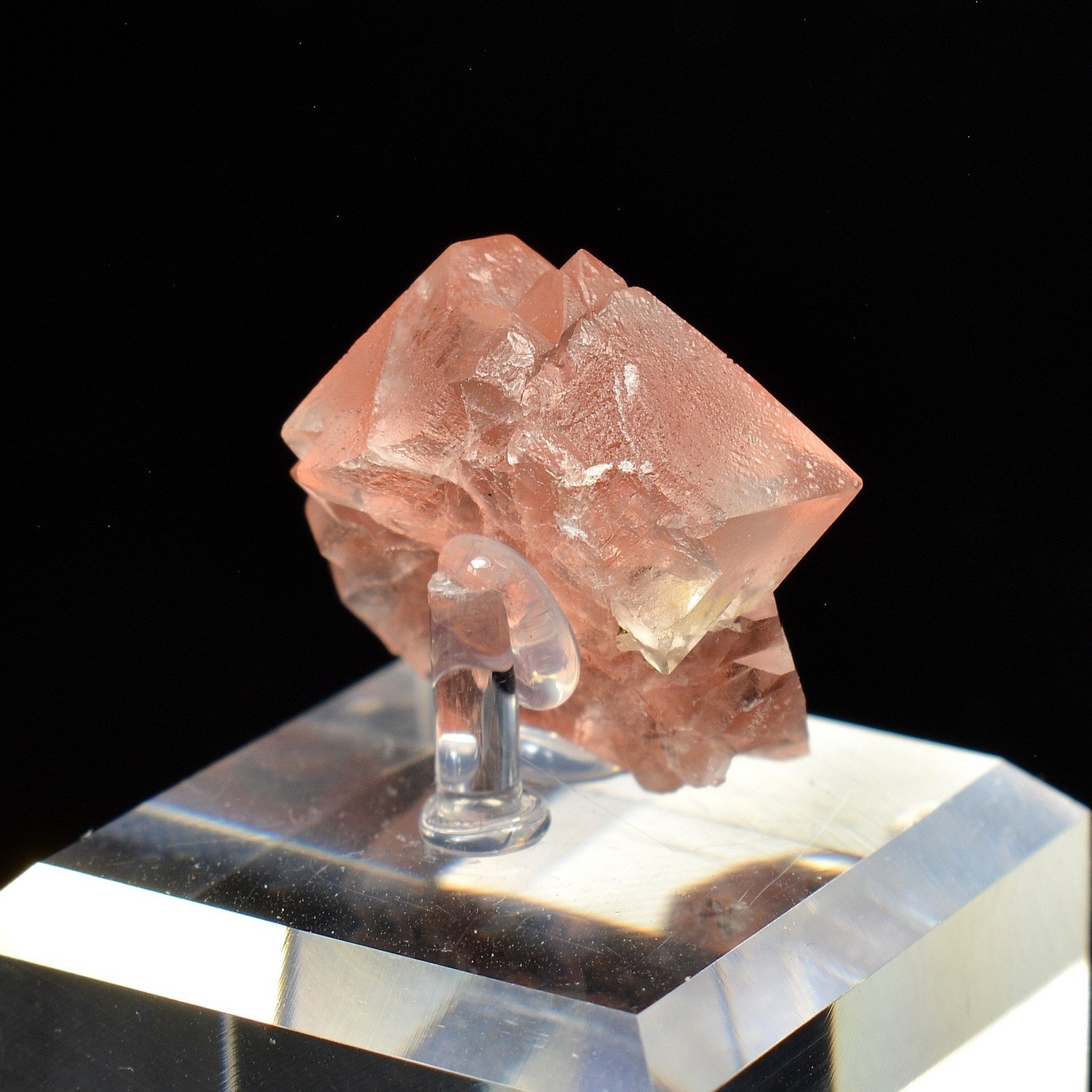 Fluorite rose - Aiguille du Moine, Haute-Savoie, France