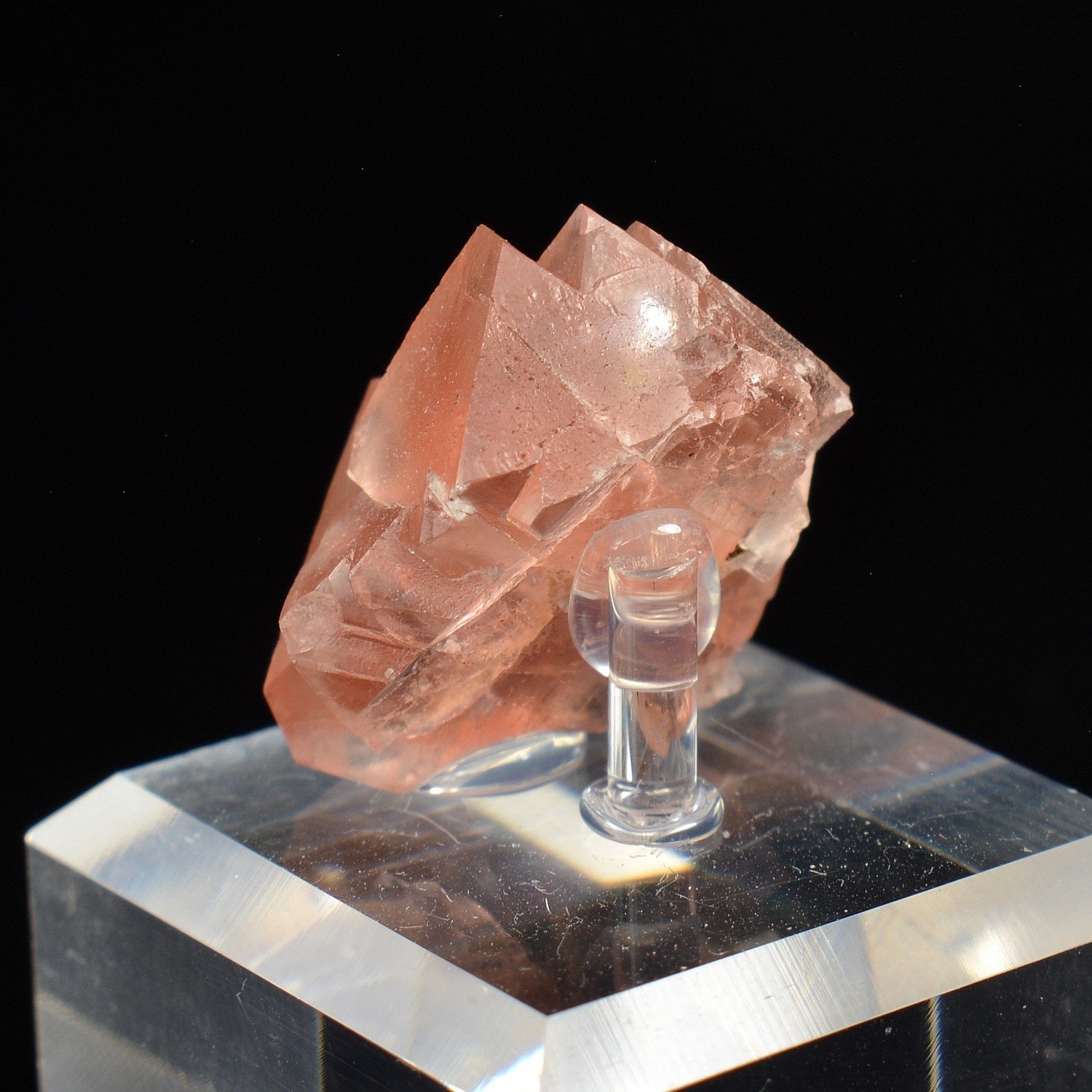 Fluorite rose - Aiguille du Moine, Haute-Savoie, France