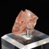 Fluorite rose - Aiguille du Moine, Haute-Savoie, France