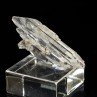 Gypsum - Arignac, Ariège, France