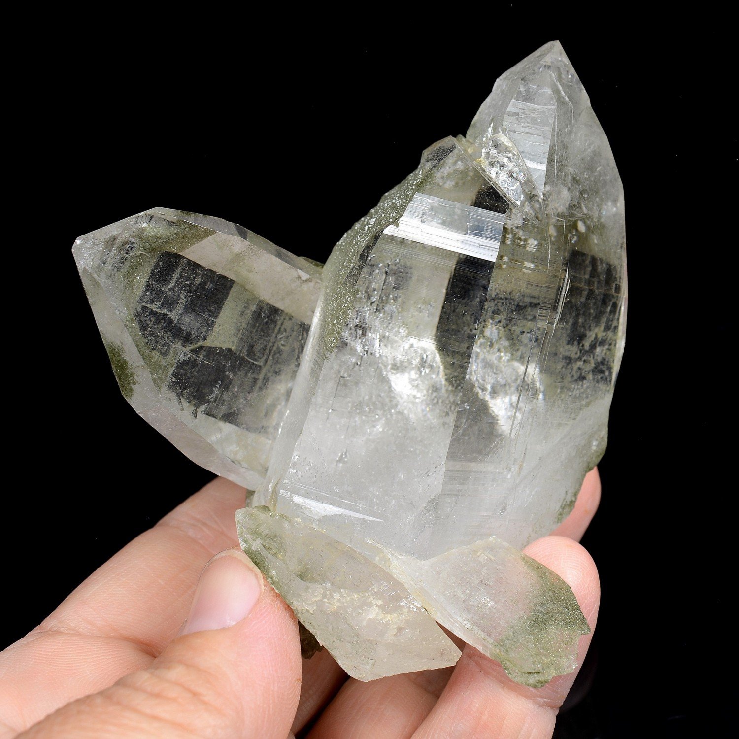 Quartz et chlorite - Ganesh Himal, Népal Quartz et chlorite - Ganesh Himal, Népal