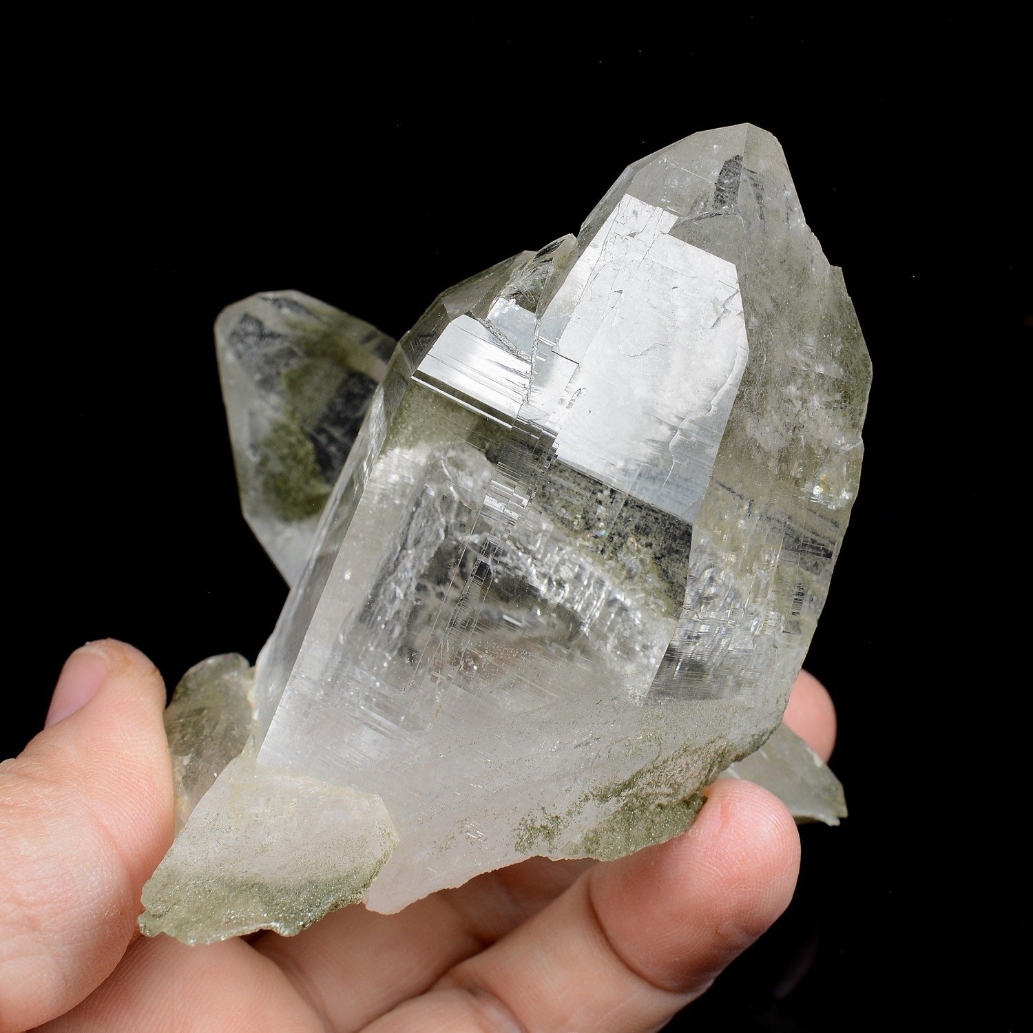 Quartz et chlorite - Ganesh Himal, Népal Quartz et chlorite - Ganesh Himal, Népal