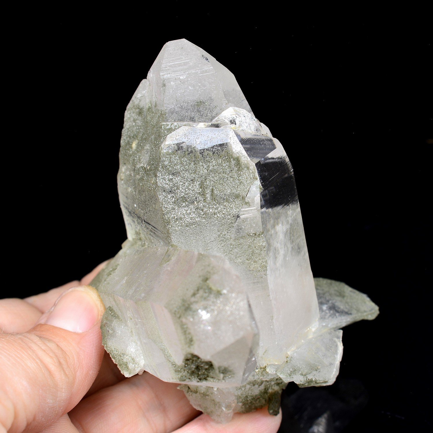 Quartz et chlorite - Ganesh Himal, Népal Quartz et chlorite - Ganesh Himal, Népal