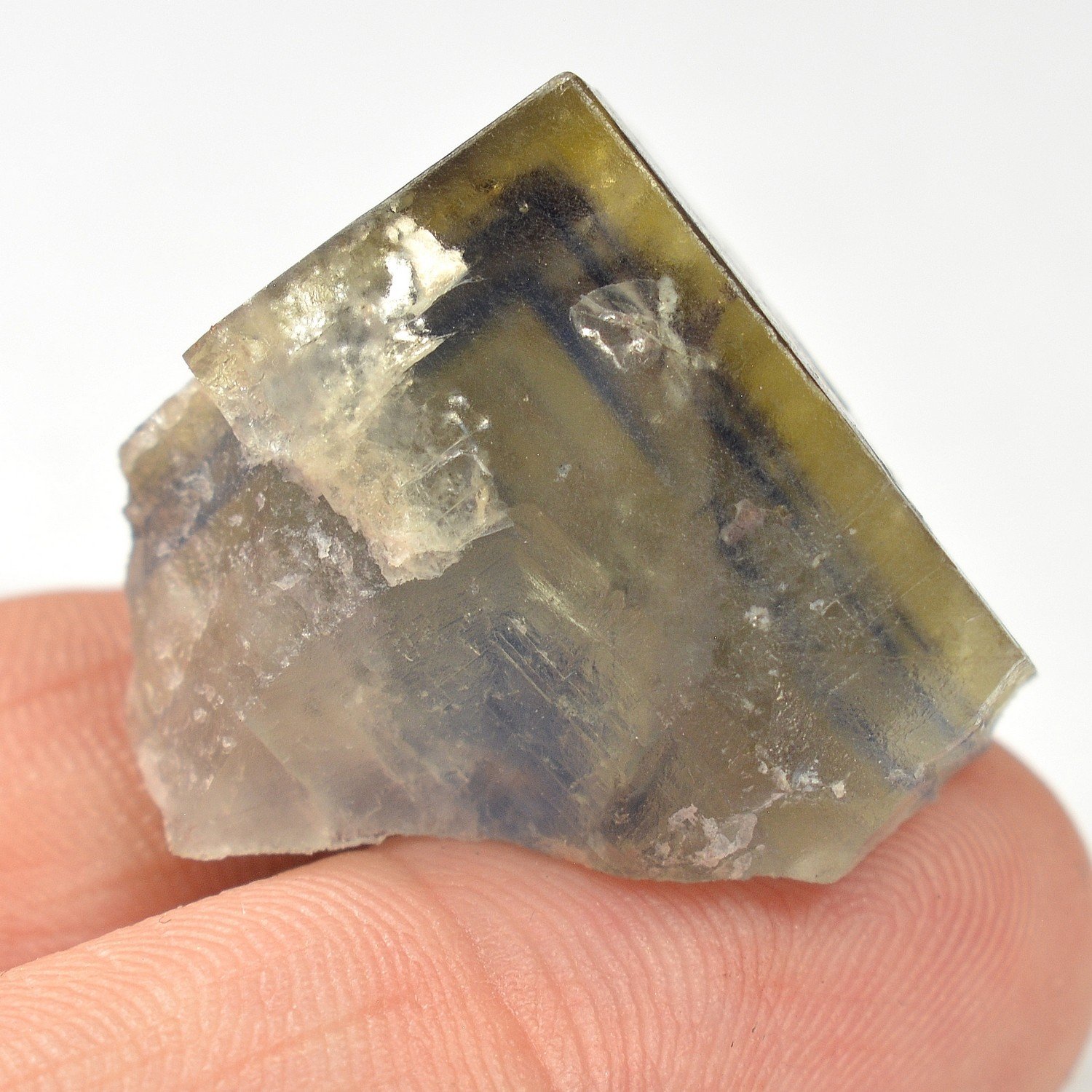 Fluorine - Trébas, Tarn, France