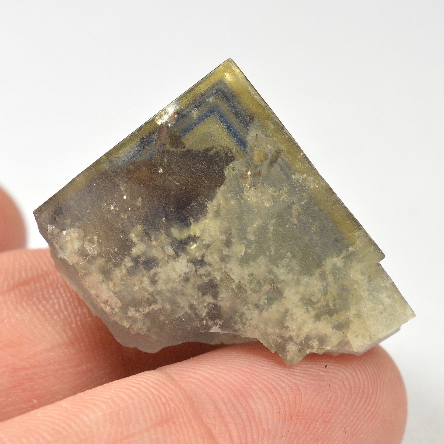 Fluorine - Trébas, Tarn, France