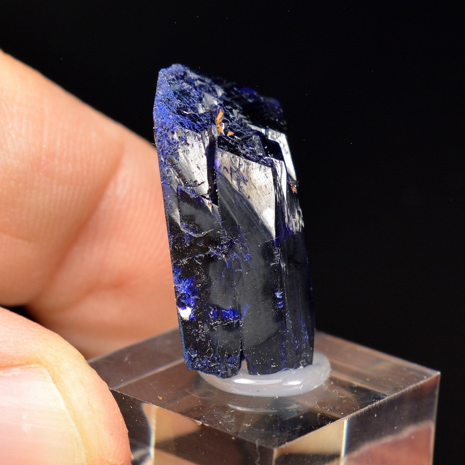 Azurite - Kerrouchen, Morocco
