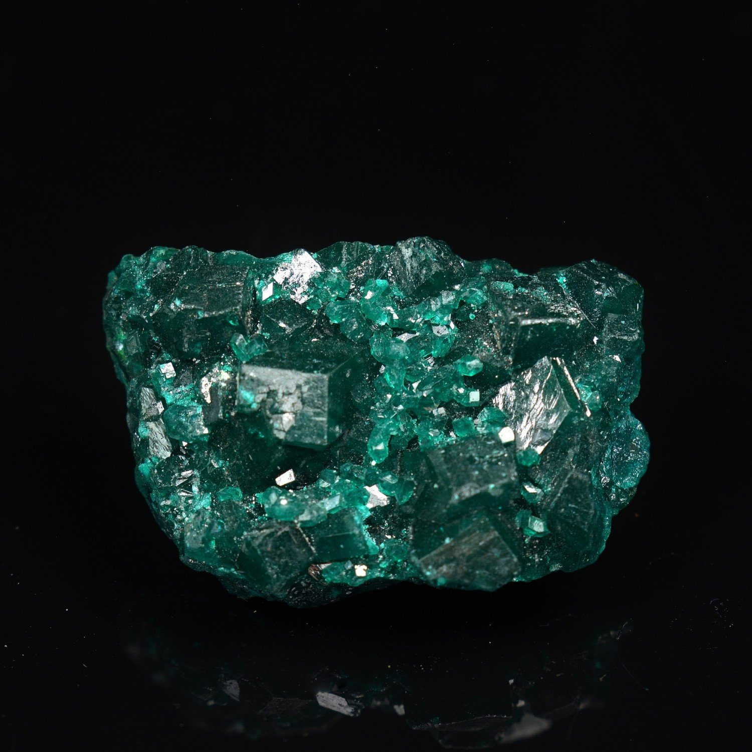 Dioptase - Katanga, RD Congo