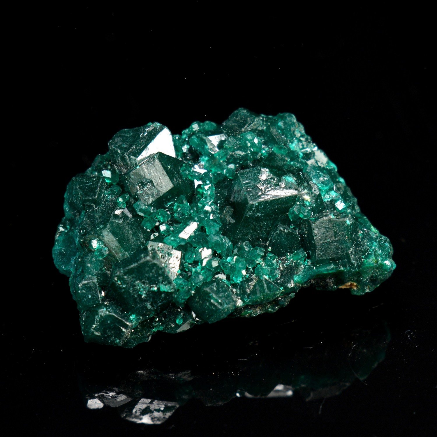 Dioptase - Katanga, RD Congo