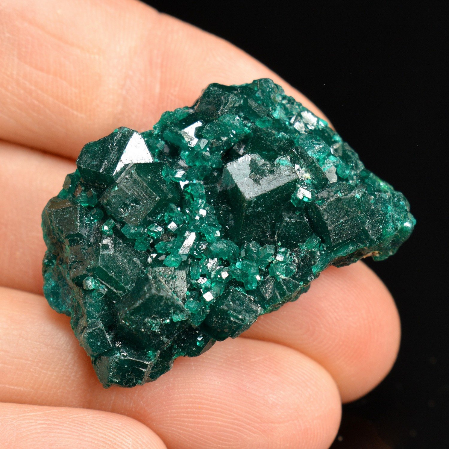 Dioptase - Katanga, RD Congo