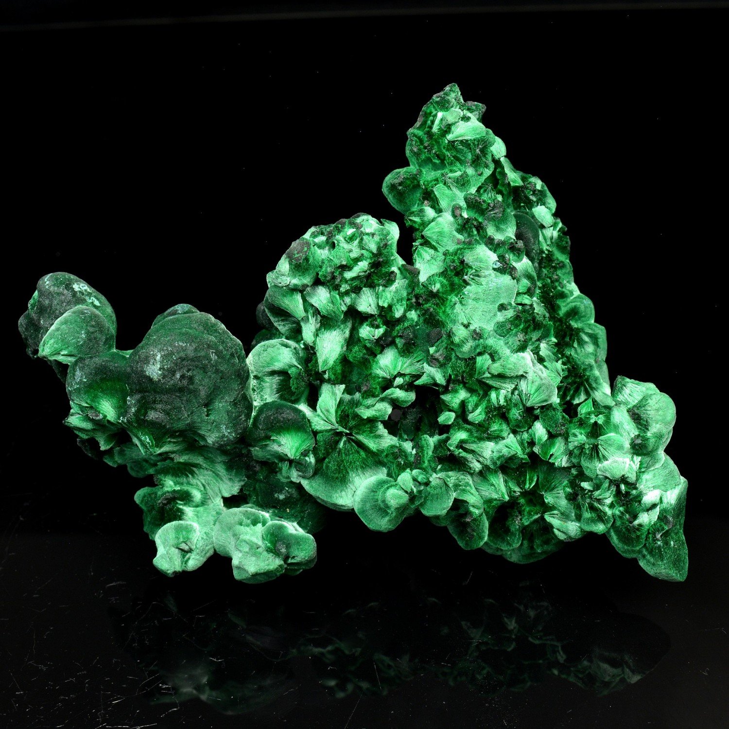 Malachite fibreuse - Katanga, RD Congo Malachite fibreuse - Katanga, RD Congo