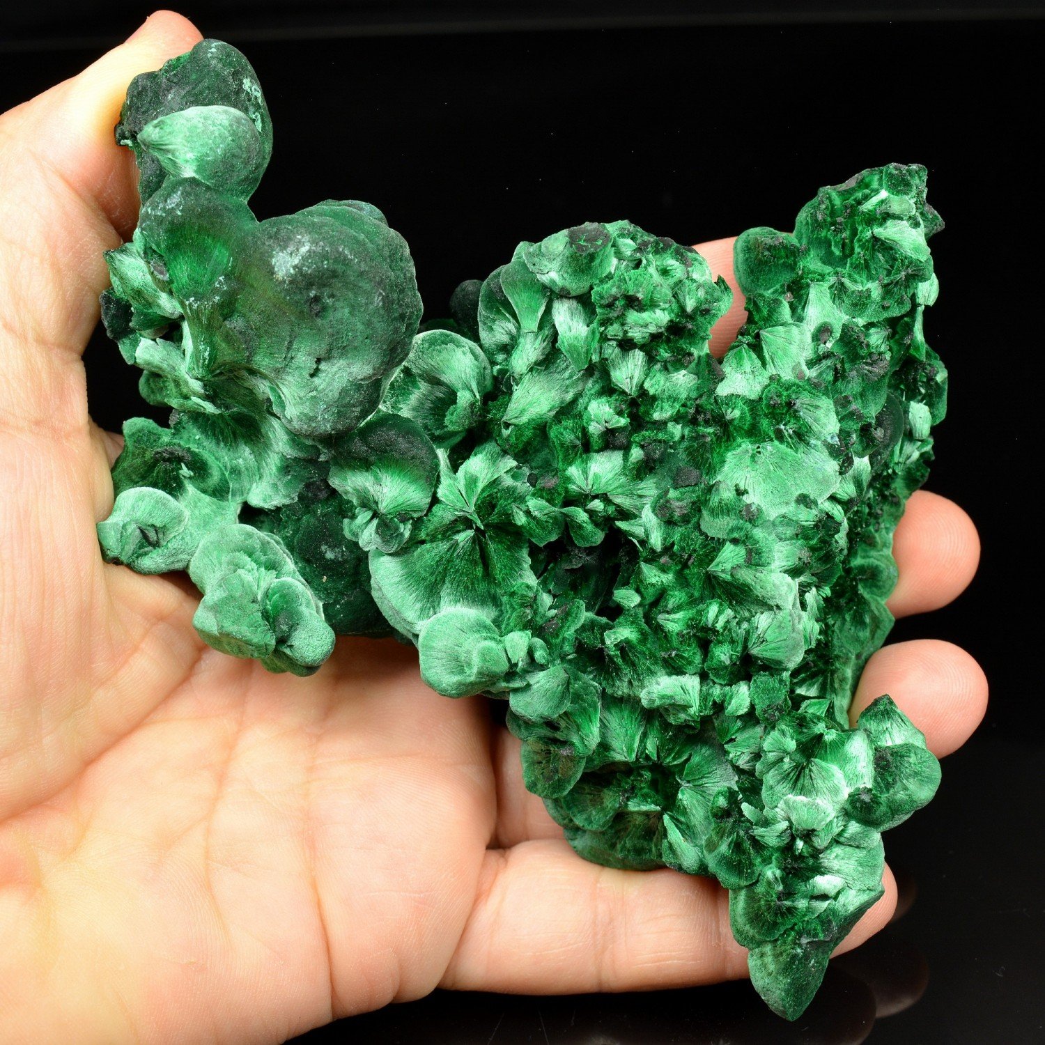 Fibrous malachite - Katanga, DR Congo Fibrous malachite - Katanga, DR Congo