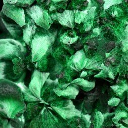 Malachite fibreuse - Katanga, RD Congo