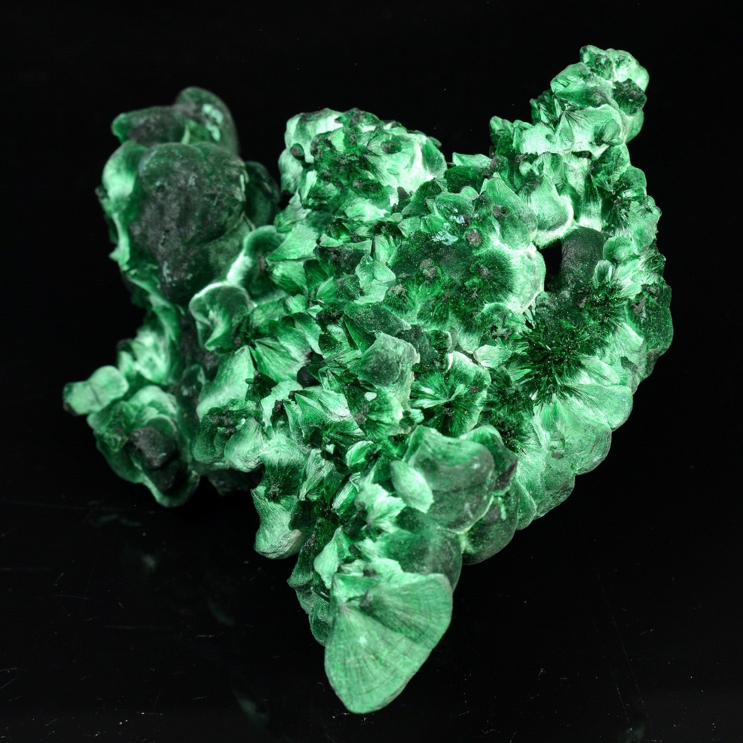 Fibrous malachite - Katanga, DR Congo Fibrous malachite - Katanga, DR Congo