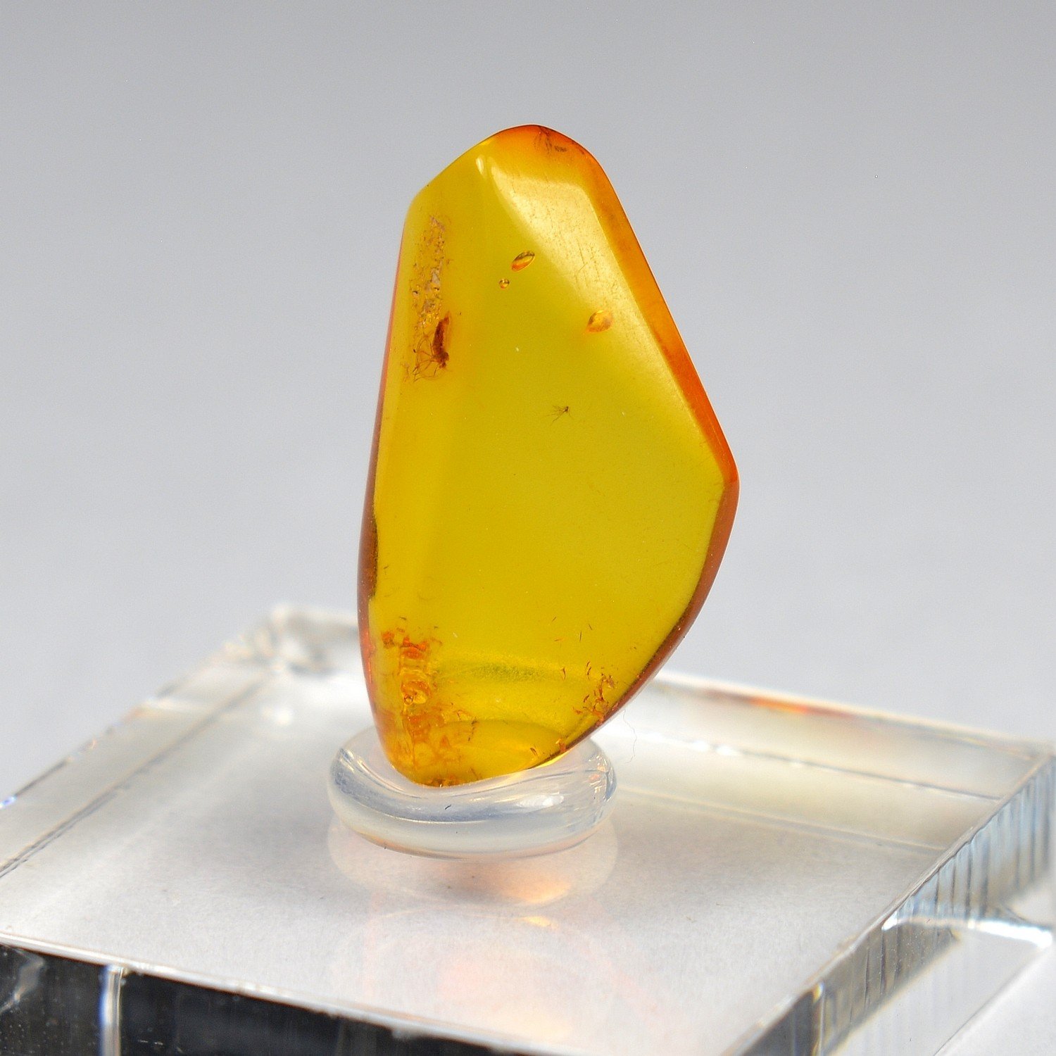 Baltic Amber with Insect