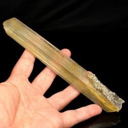 Gypsum - Pouillon, Landes, France
