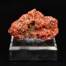 Crocoïte – Red Lead Mine, Tasmanie, Australie