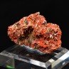 Crocoïte – Red Lead Mine, Tasmanie, Australie