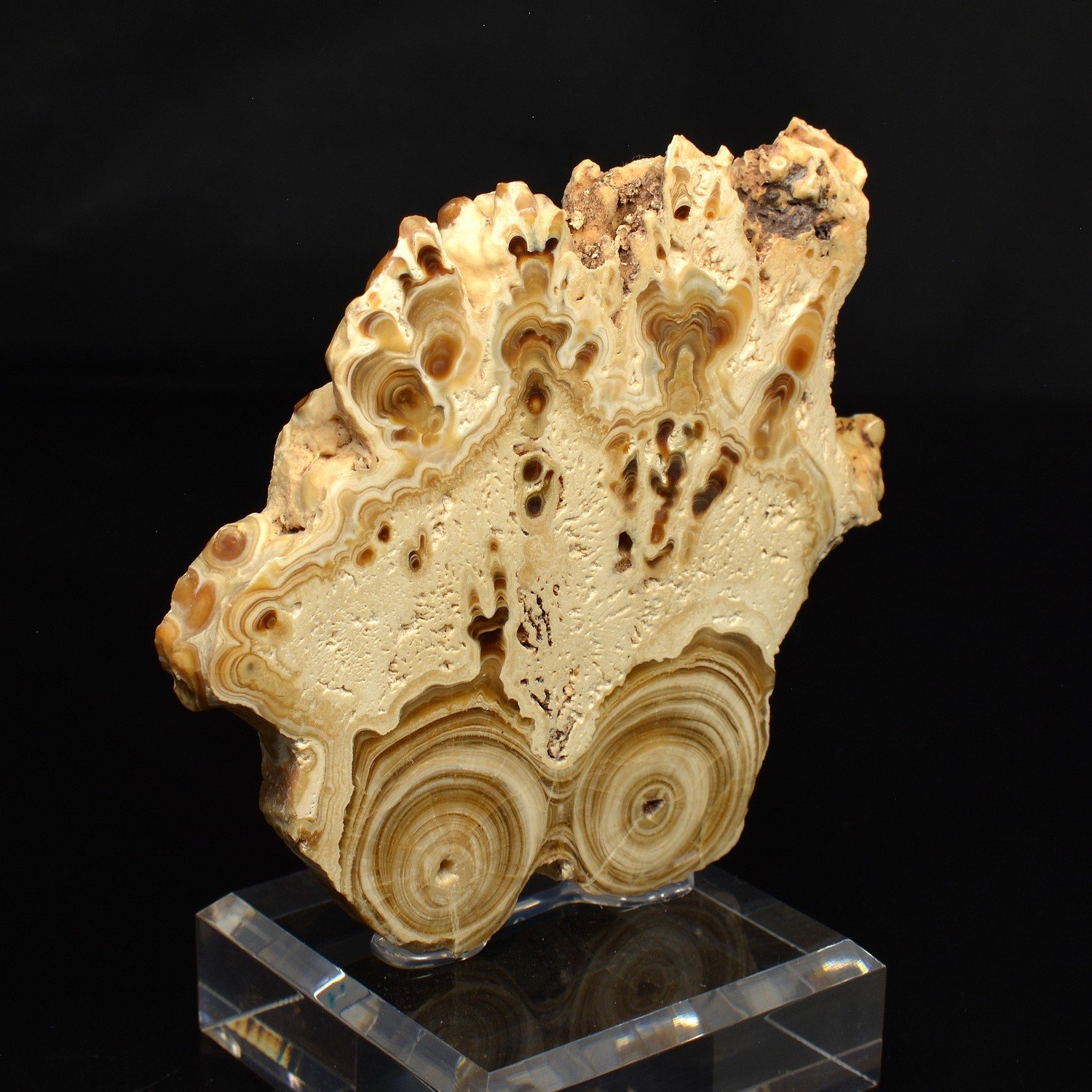 Aragonite - Imilchil, Maroc² Aragonite - Imilchil, Maroc²