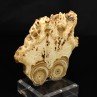 Aragonite - Imilchil, Morocco