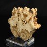 Aragonite - Imilchil, Morocco²