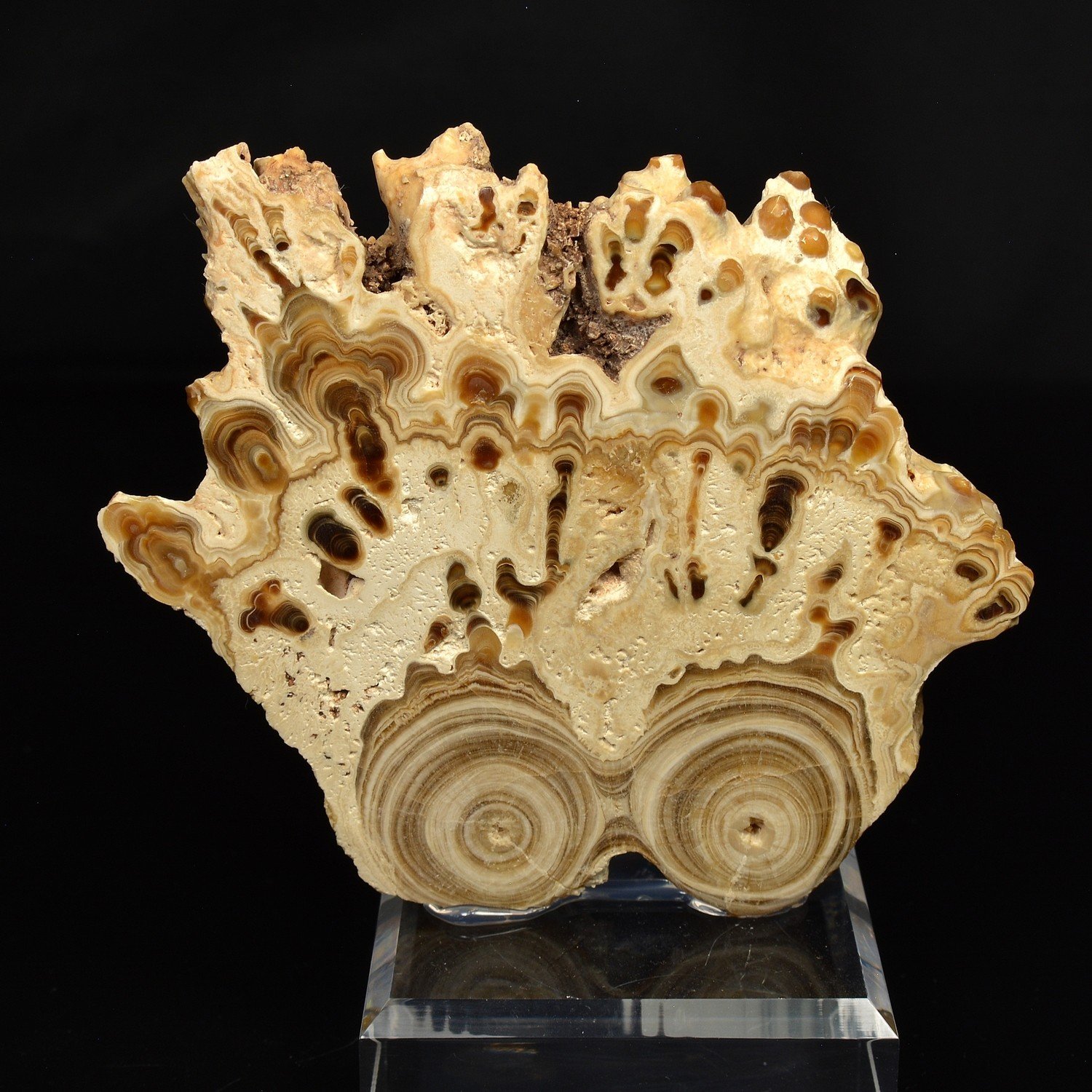 Aragonite - Imilchil, Maroc Aragonite - Imilchil, Maroc