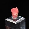 Rhodochrosite - Carrière de Poudrette, Mont Saint-Hilaire, Québec, Canada