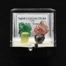 Mini Collection - Minerals of the World