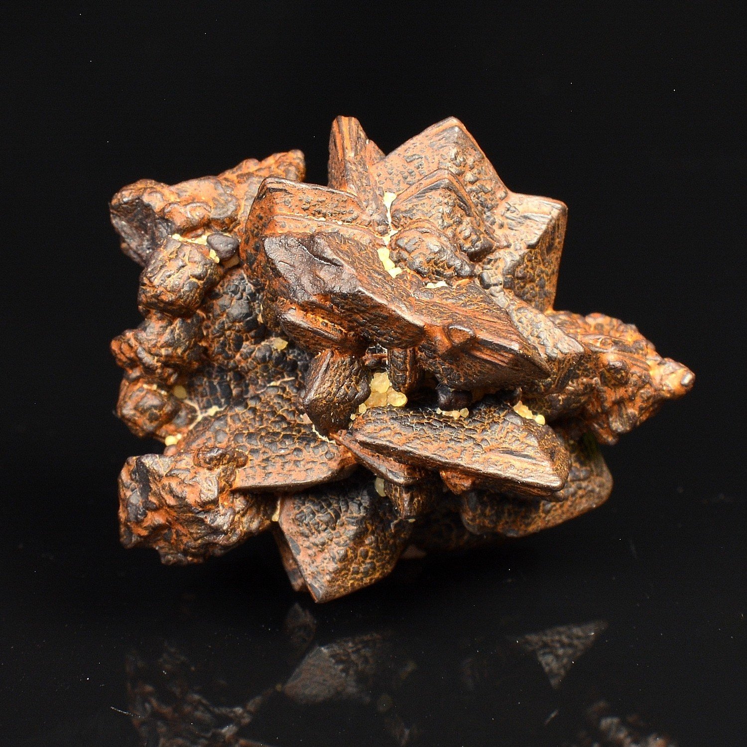 Limonite pseudomorph of marcasite - Farafa Oasis, White Desert, Egypt
