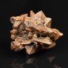 Limonite pseudomorph of marcasite - Farafa Oasis, White Desert, Egypt
