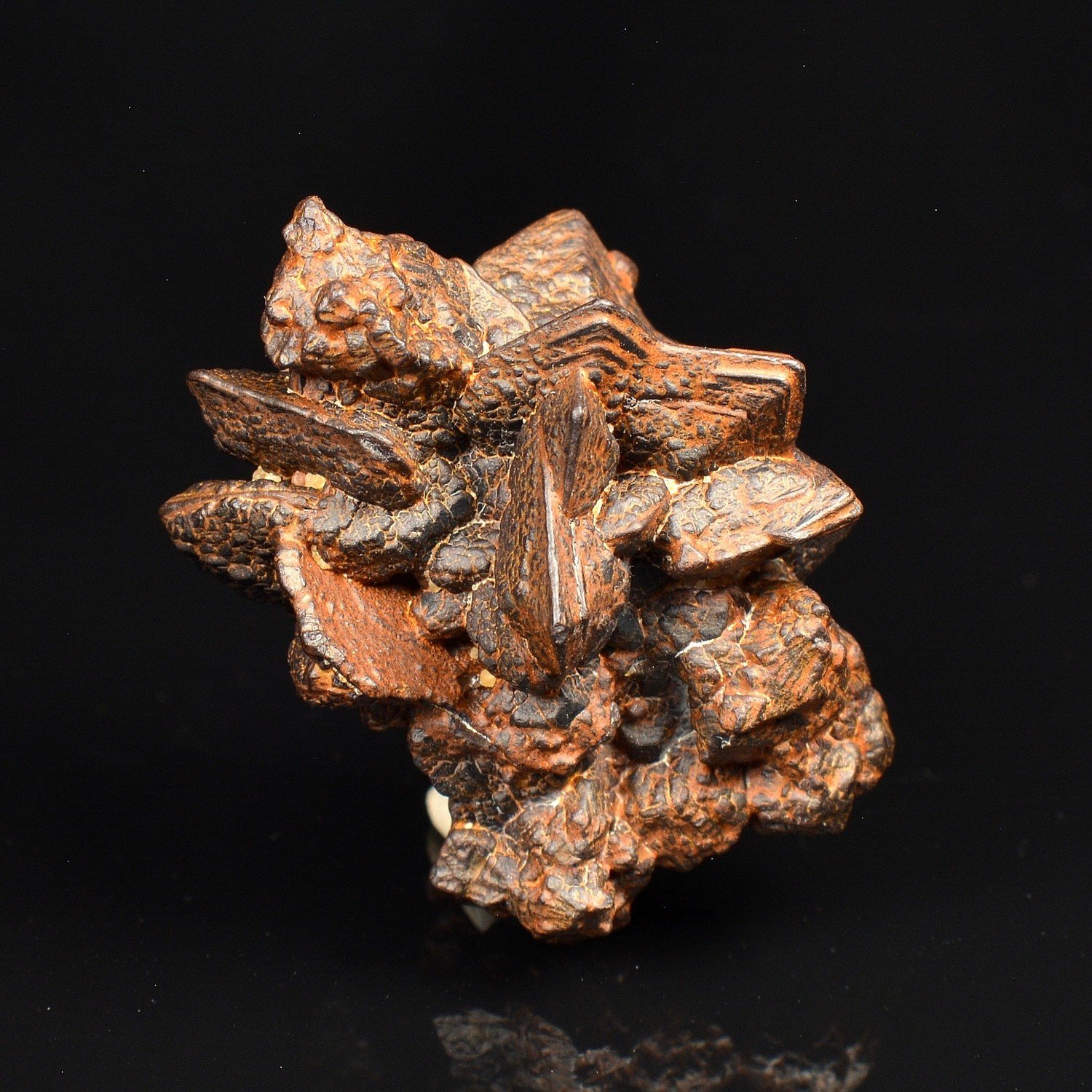 Marcasite psm en limonite - Oasis Farafa, Désert Blanc, Egypte Marcasite psm en limonite - Oasis Farafa, Désert Blanc, Egypte