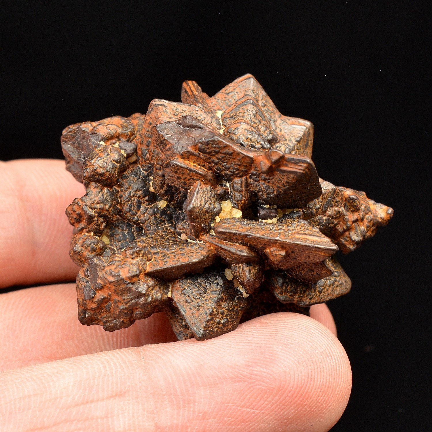 Limonite pseudomorph of marcasite - Farafa Oasis, White Desert, Egypt