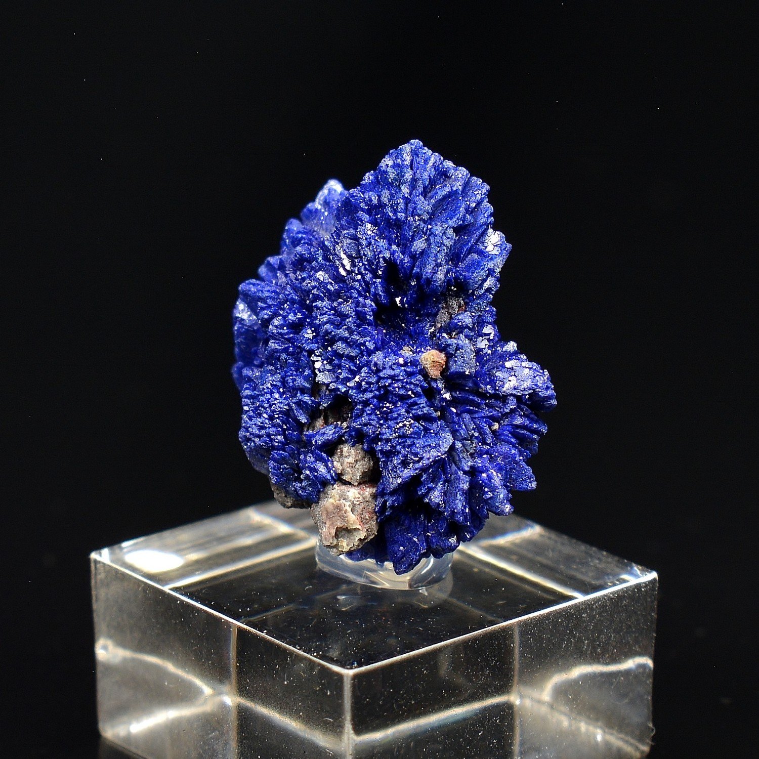 Azurite – Chessy, Rhône, France