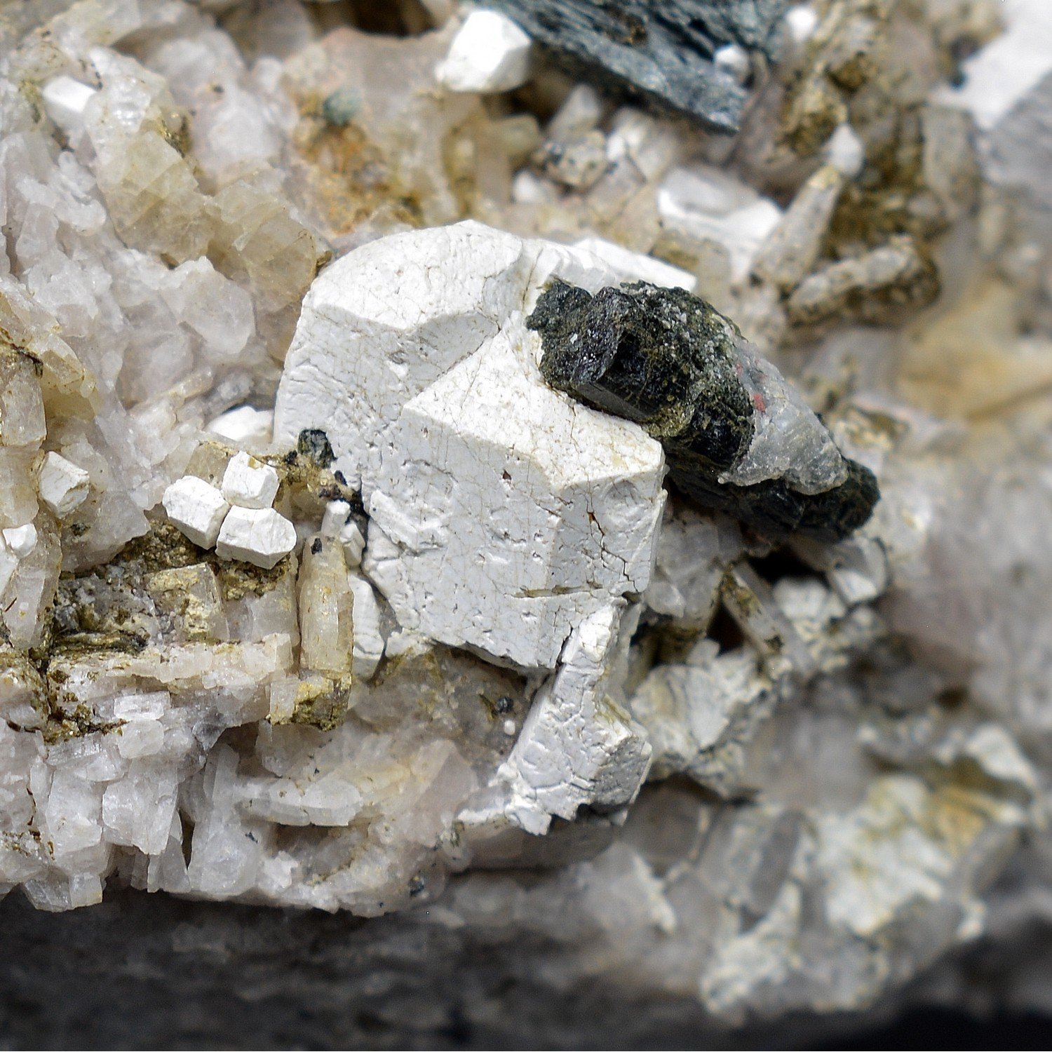 Hydroxylapatite, hornblende et albite – Snarum, Modum, Norvège Hydroxylapatite, hornblende et albite – Snarum, Modum, Norvège