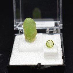 PÉRIDOT – DUO cristal naturel et gemme taillée – Pakistan
