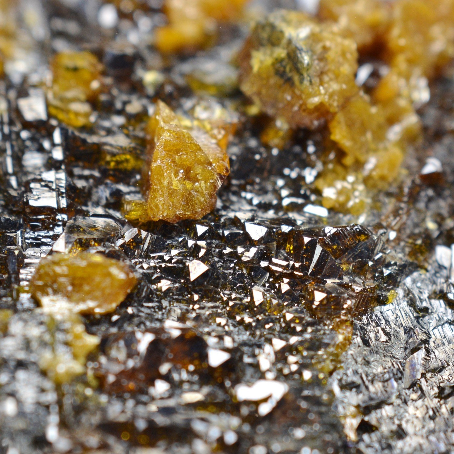 Sphalerite and fluorite - Elmwood Mine, Tennessee, United States