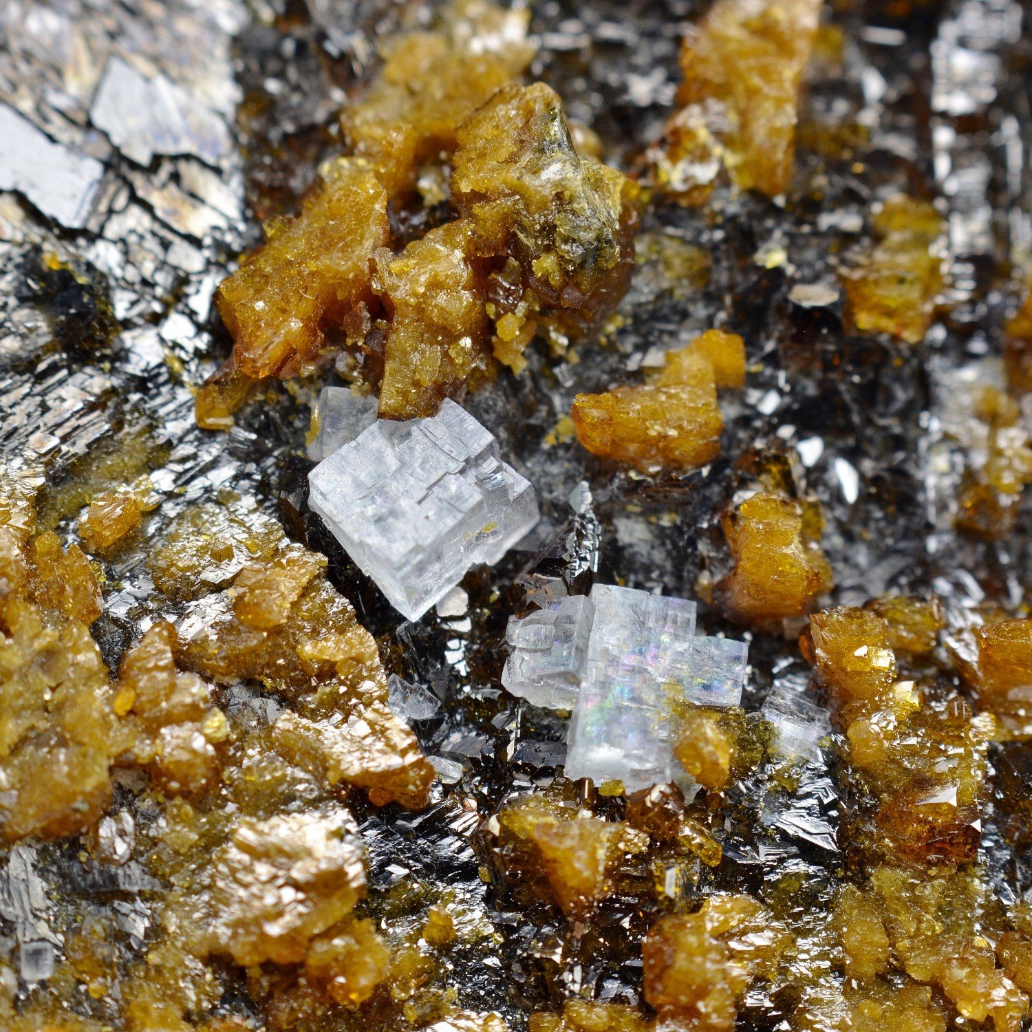 Sphalérite et fluorine – Mine d'Elmwood, Tennessee, États-Unis Sphalérite et fluorine – Mine d'Elmwood, Tennessee, États-Unis