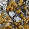 Sphalerite and fluorite - Elmwood Mine, Tennessee, United States