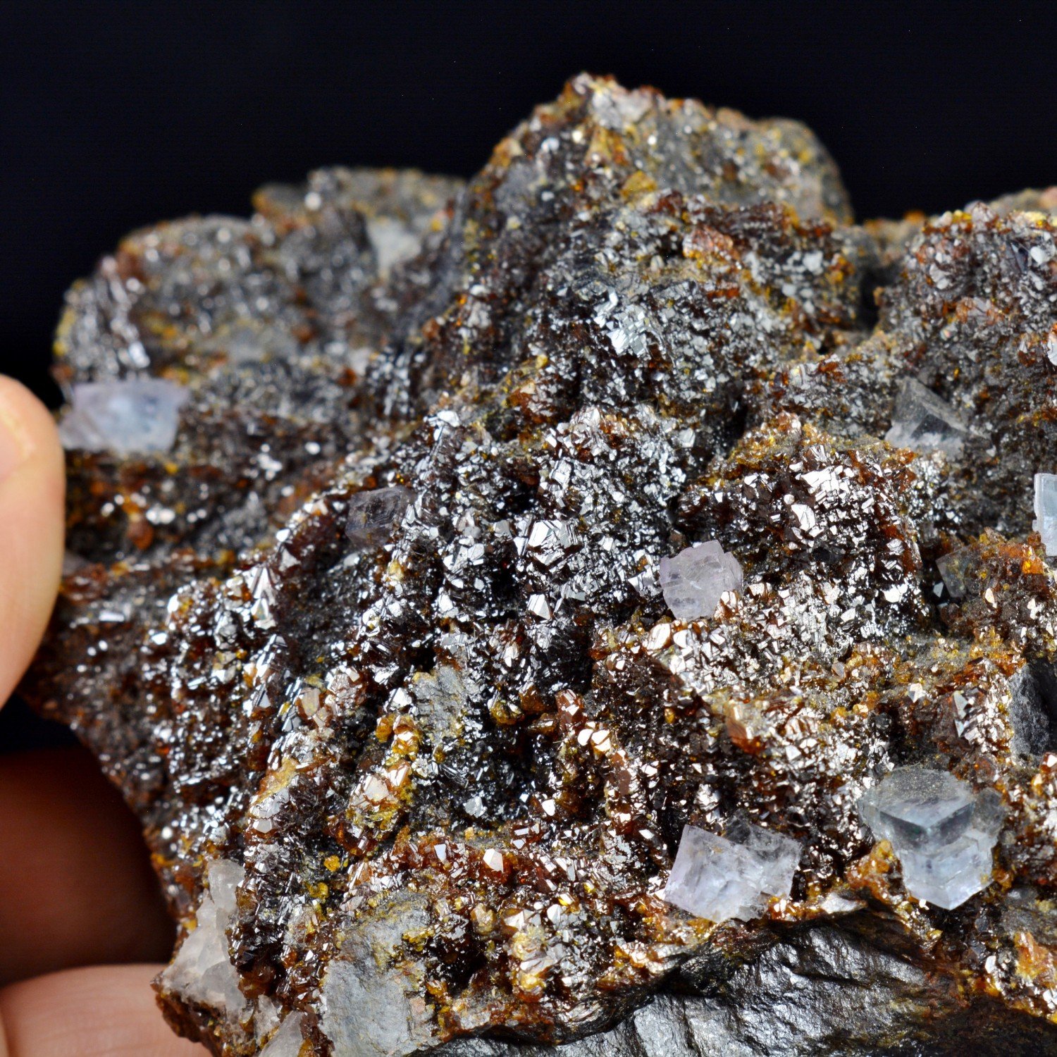 Sphalerite and fluorite - Elmwood Mine, Tennessee, United States