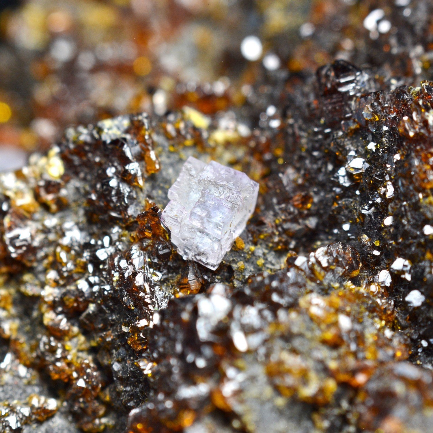 Sphalerite and fluorite - Elmwood Mine, Tennessee, United States