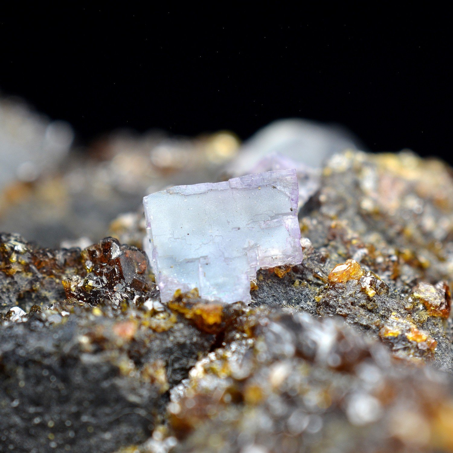 Sphalerite and fluorite - Elmwood Mine, Tennessee, United States