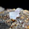 Sphalérite et fluorine – Mine d'Elmwood, Tennessee, États-Unis Sphalérite et fluorine – Mine d'Elmwood, Tennessee, États-Unis