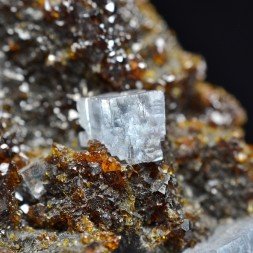 Sphalerite and fluorite - Elmwood Mine, Tennessee, United States