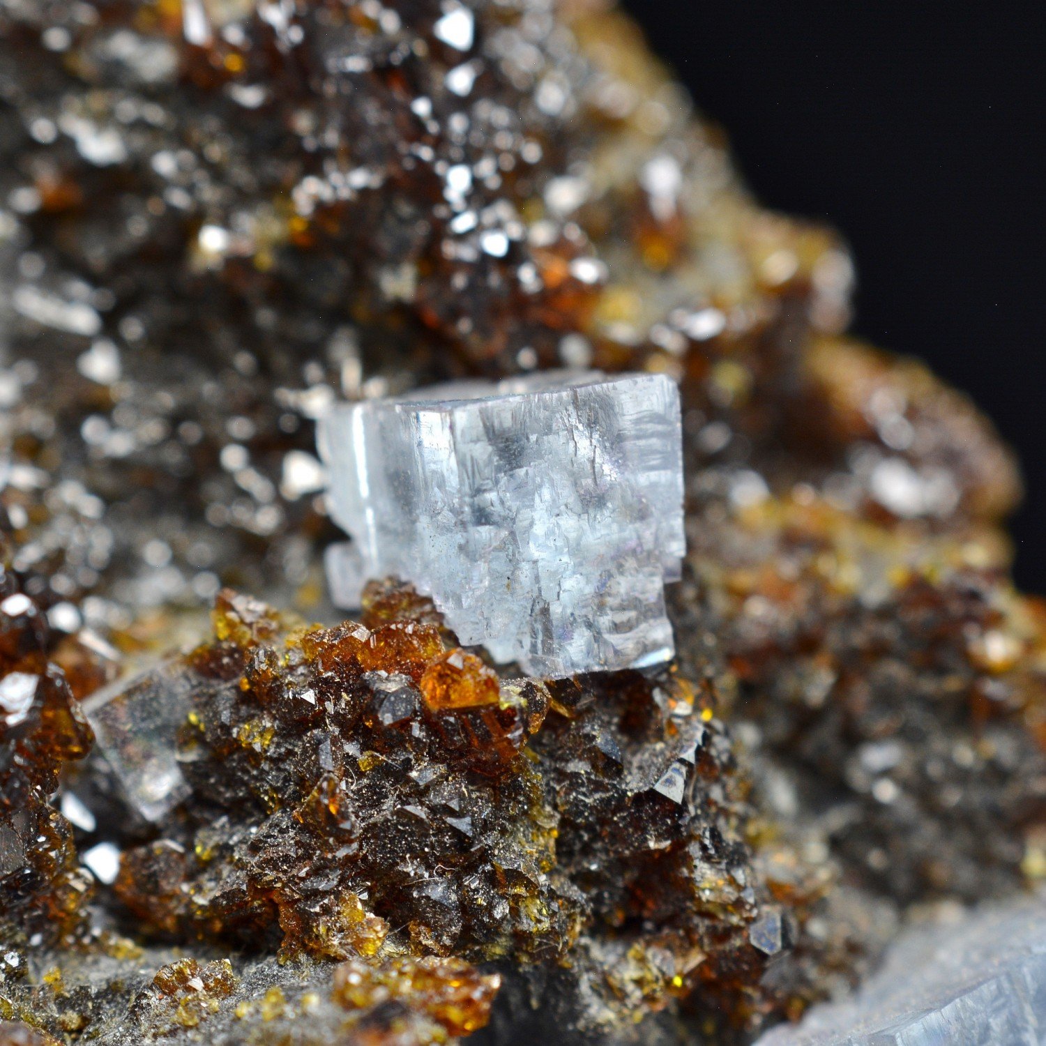 Sphalérite et fluorine – Mine d'Elmwood, Tennessee, États-Unis Sphalérite et fluorine – Mine d'Elmwood, Tennessee, États-Unis